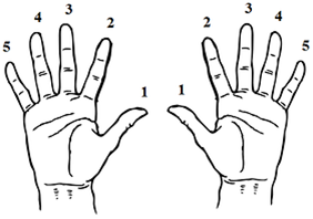 finger notation