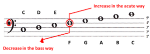notes in bass clef