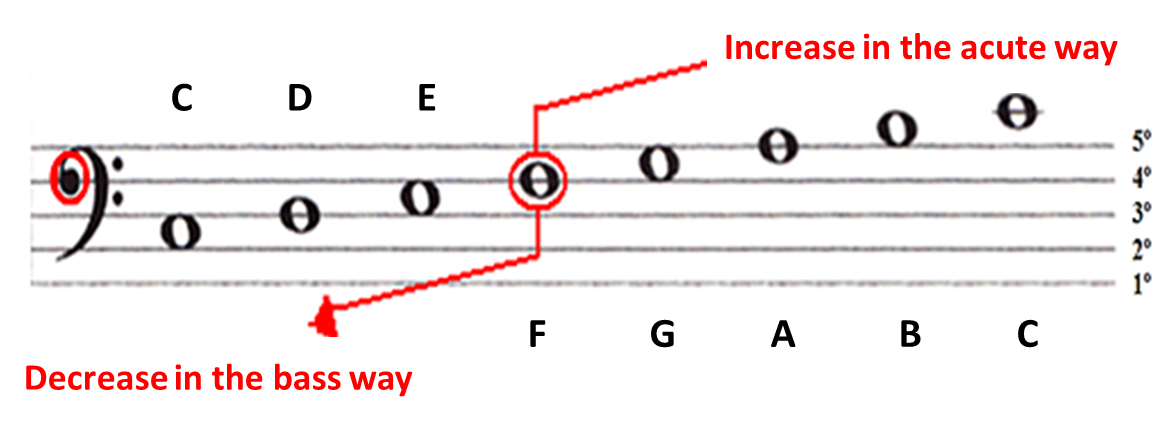 notes in bass clef