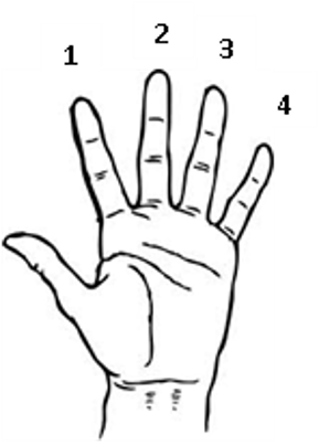 hand finger notation