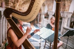 harp study module 10