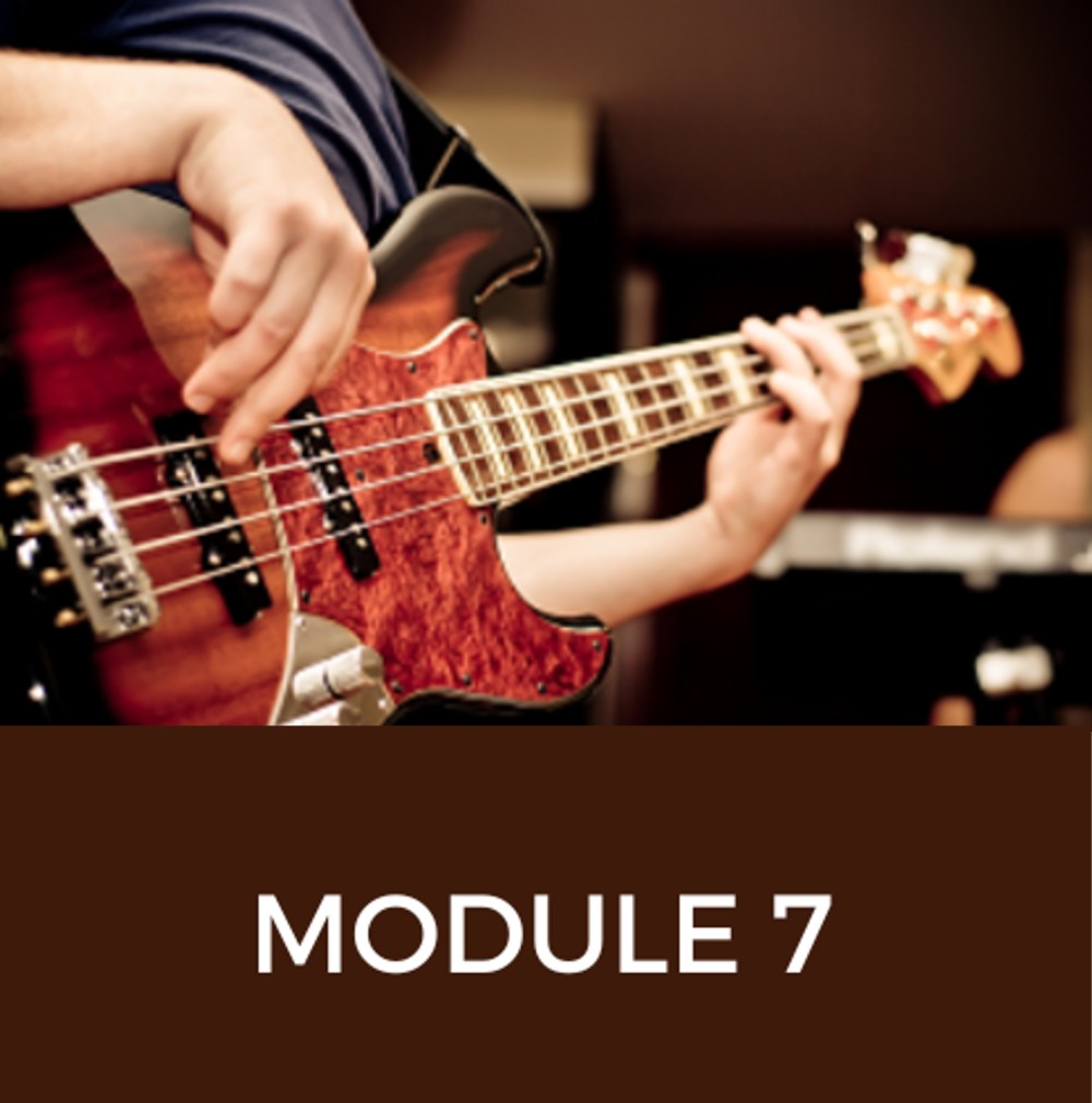 module 7 - bass illustration